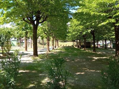 campingrivablu it promozione-1-notte-gratis-in-camping-village-sul-lago-di-garda 023