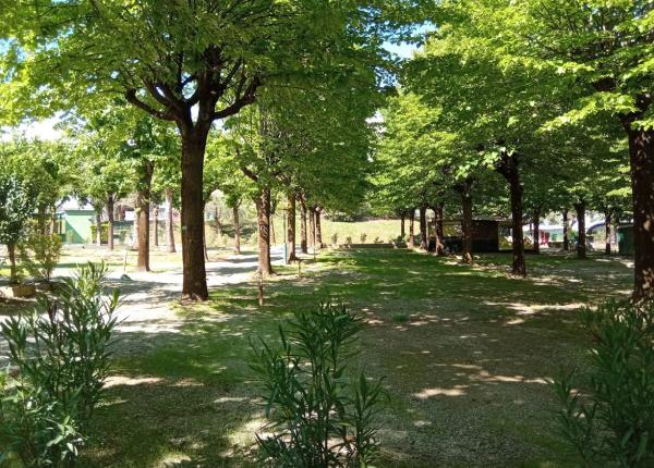 campingrivablu it promozione-1-notte-gratis-in-camping-village-sul-lago-di-garda 018