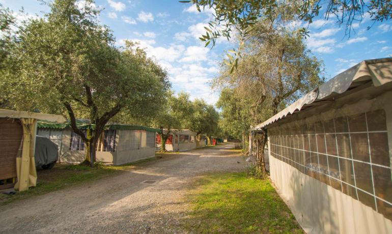 campingrivablu de juni-ferien-am-gardasee 026