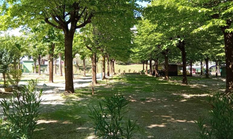 campingrivablu de juni-ferien-am-gardasee 025