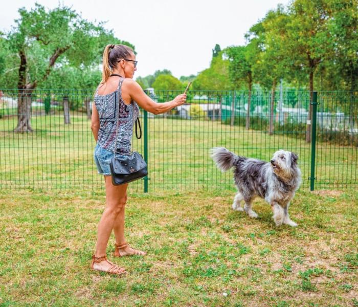 Frau spielt mit Hund im Park.